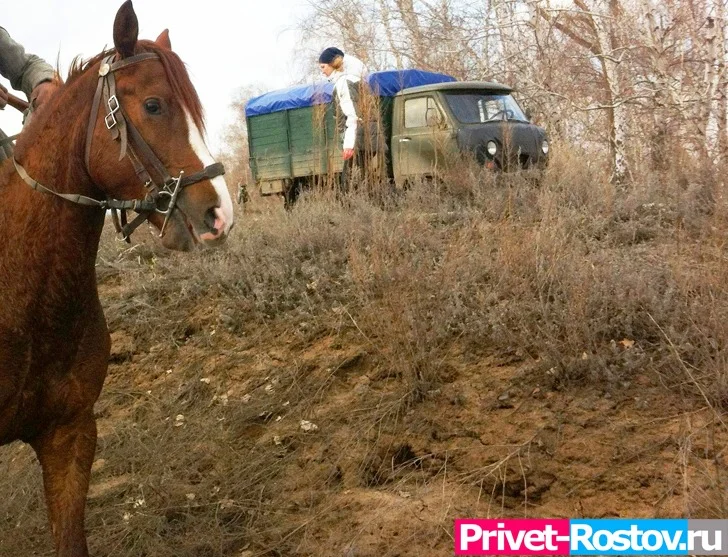 В Ростовской области казаки взяли под охрану ЛЭП