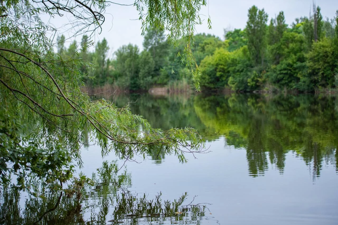 В Ростове парк культуры имени Октября присоединят к Зоопарку