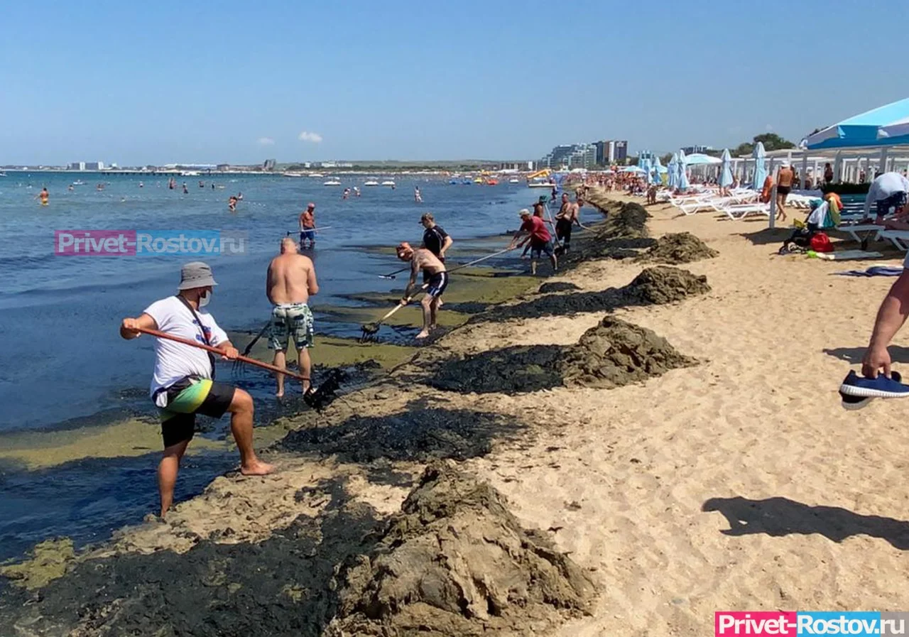 Пляжи в Анапе позеленели из-за водорослей в сентябре