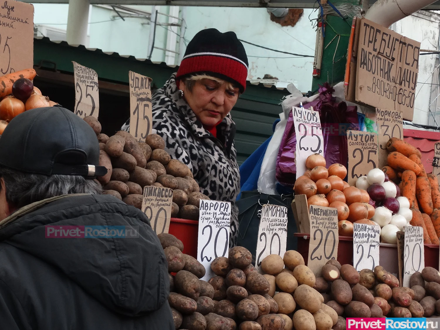 Ростовстат назвал все города в Ростовской области, где продают картофель дешевле