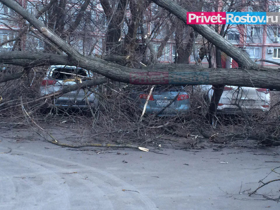 В Ростовской области ожидается ураганный ветер