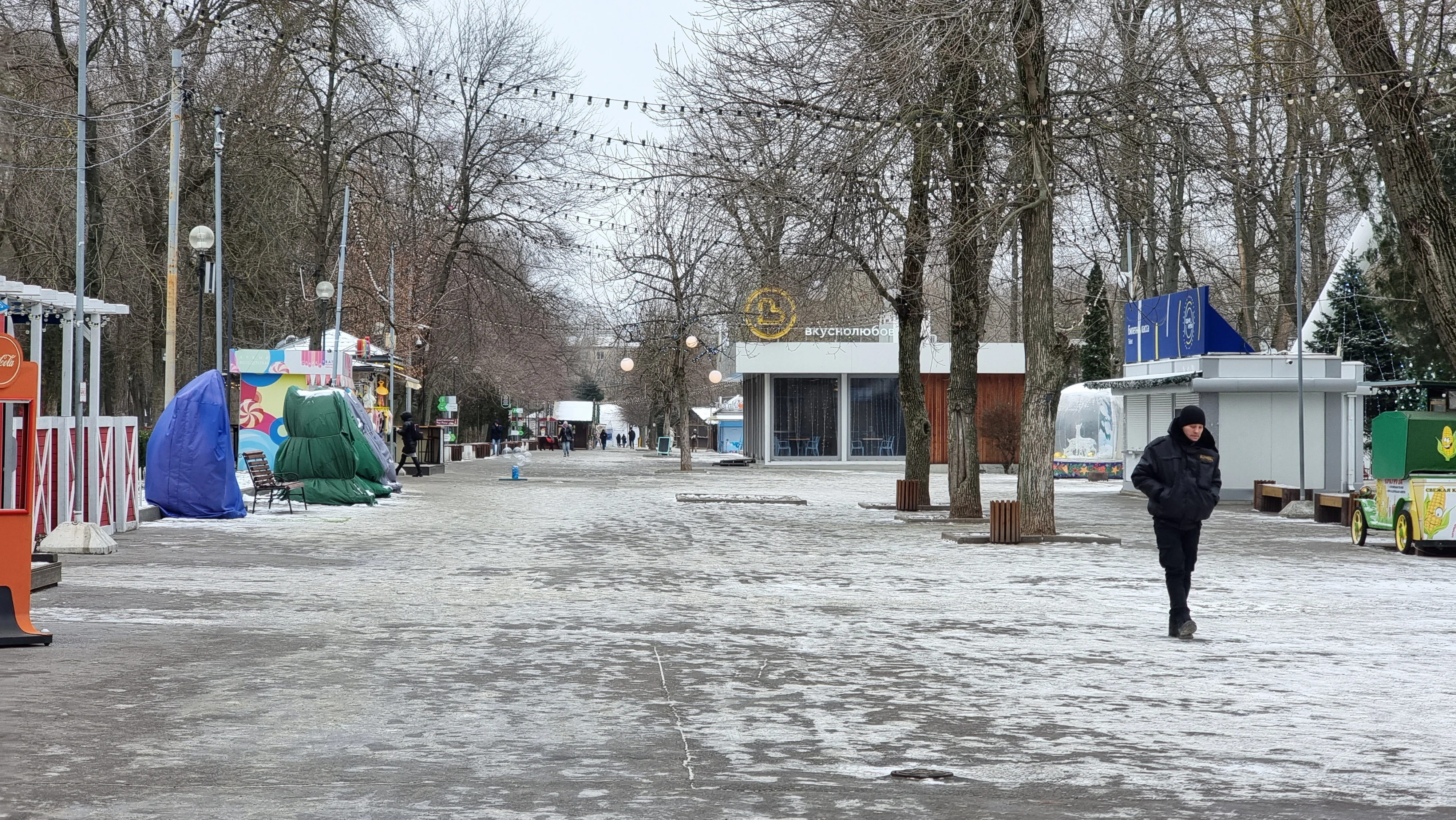 Синоптик Вильфанд спрогнозировал рекордные снегопады зимой в Ростовской области