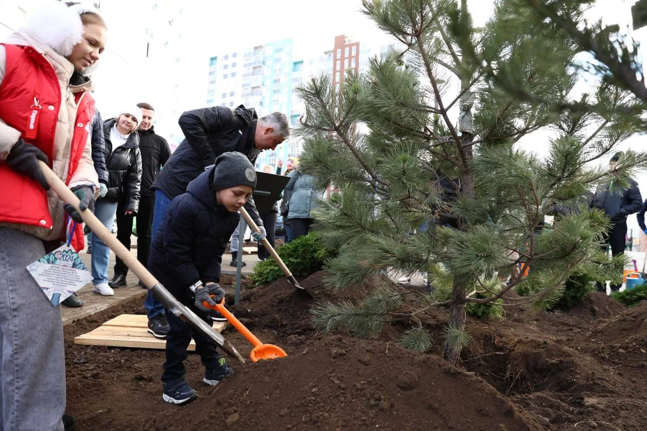 Более 40 аллей появилось в Ростове в осенний День древонасаждения