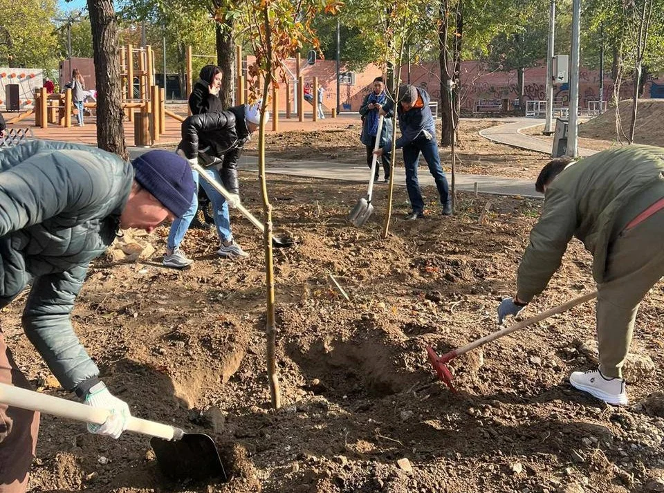 В Ростове посадили Аллеи участникам СВО, «Остров любви» и Вишневый сад