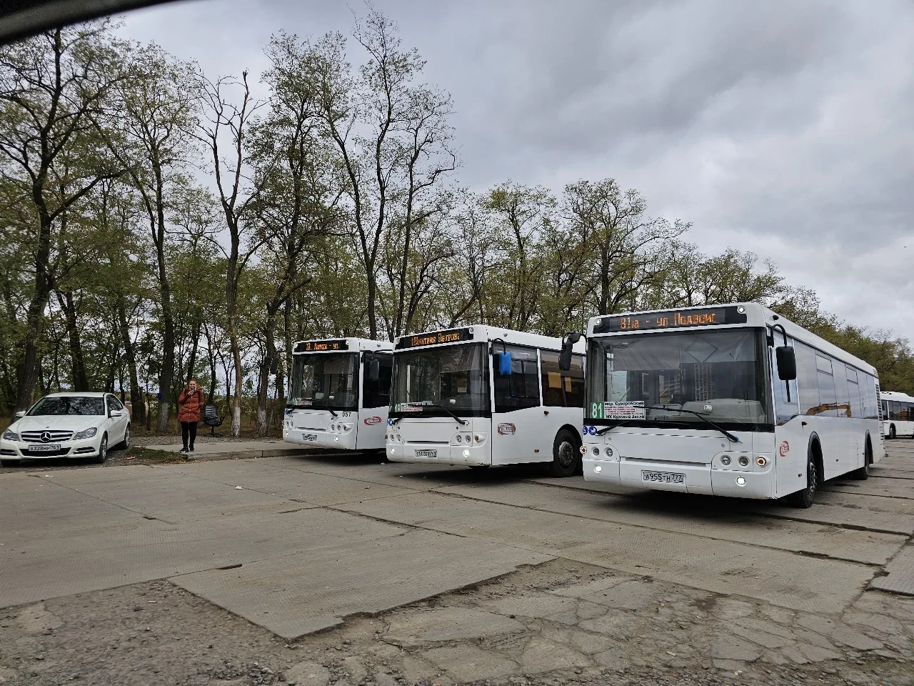 В Ростове власти изучили работу 60 автобусов