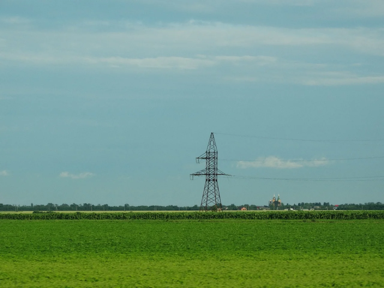 Озимые культуры в Ростовской области под угрозой из-за весенних заморозков