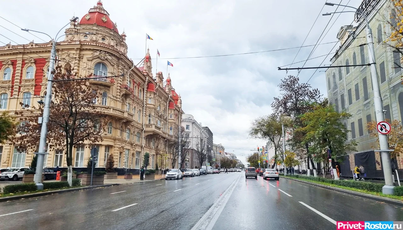 В Ростове депутаты выбрали половину состава комиссии для выборов сити-менеджера города