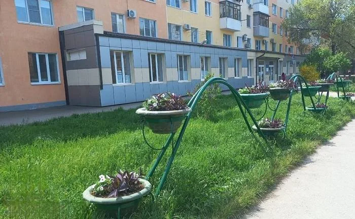 В Таганроге воры расхищают 1 тыс. цветов высаженных в уличные кашпо
