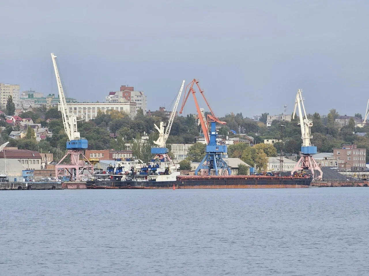 В Ростове рухнул экспорт и грузооборот зерновых почти на 60%
