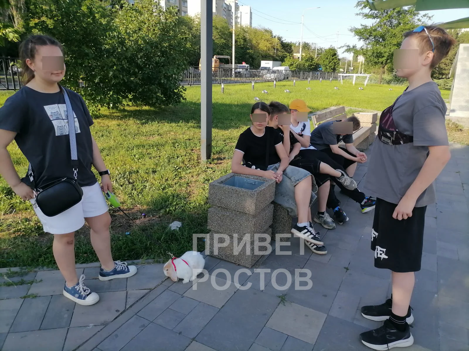 Кролик Перец сводит с ума жителей ростовского Стройгородка