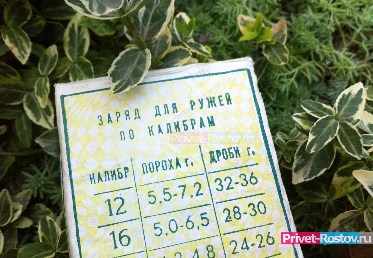 Ружье забрали у пенсионера на Дону выстрелившего в школьниц из-за черешни