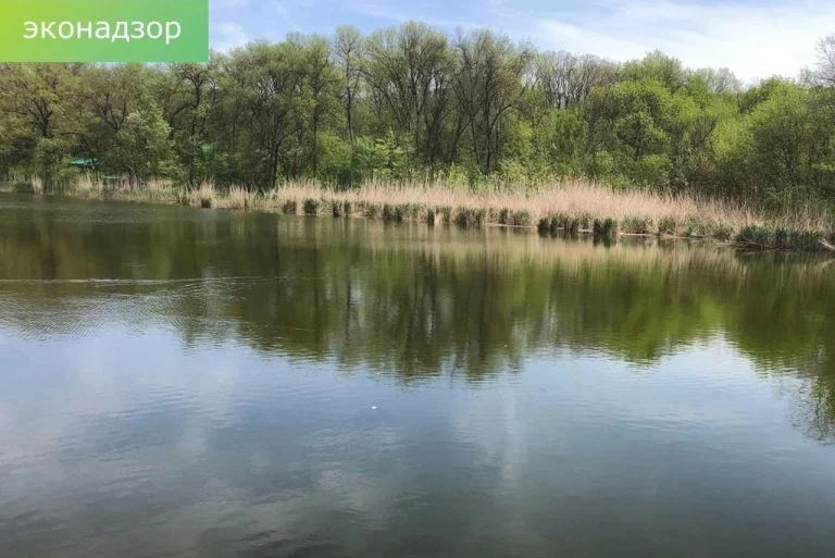 На Дону увидели загрязнение реки Северский Донец