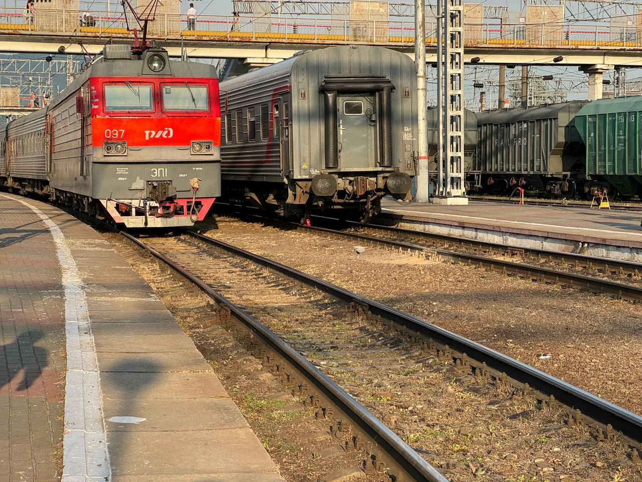 На поезда из Ростова в Адлер билеты продают за 56 тыс. рублей