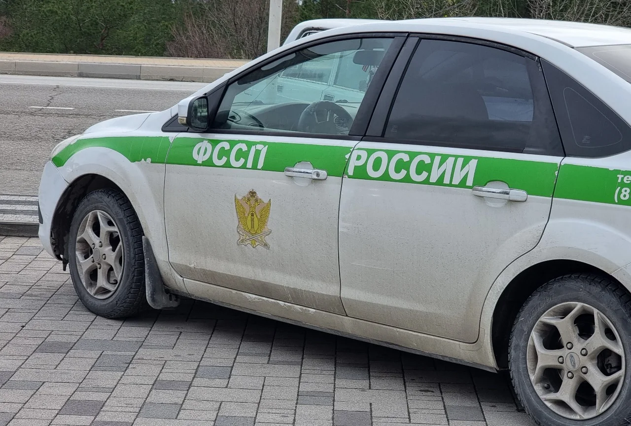 Судебные приставы раскрыли районы Ростова с максимальным числом алиментщиков