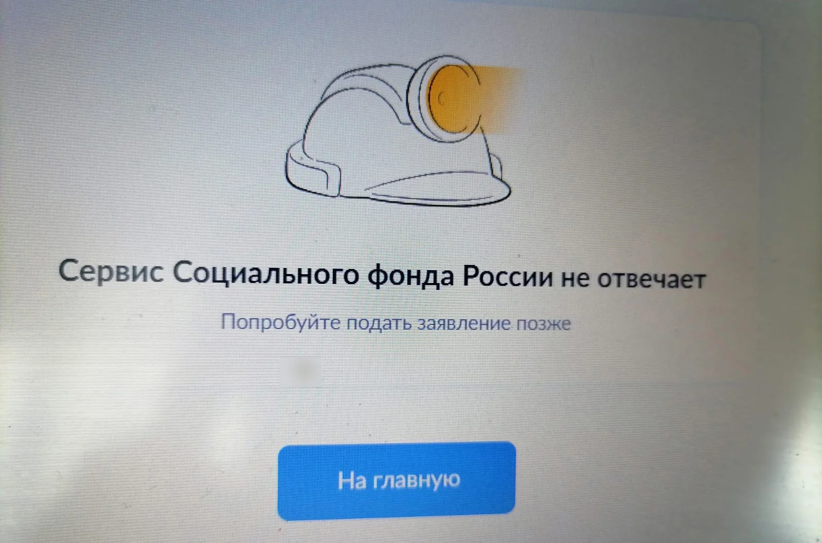 Из-за неработающего сервиса Социального фонда России ростовчанки остались без детских пособий