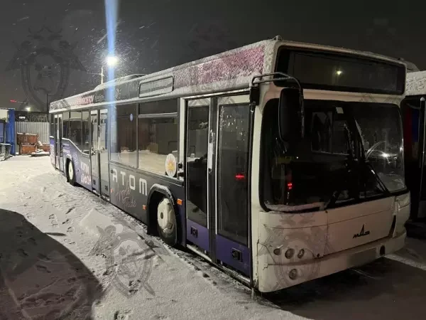 В Ростове перед судом предстанет водитель автобуса, причинивший травмы пенсионерке