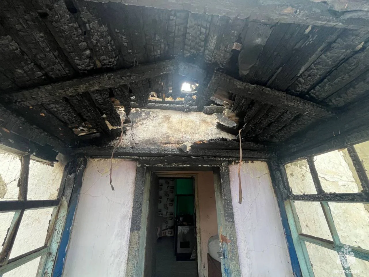 Собаки спасли дом от пожара в Красносулинском районе, разбудив хозяйку