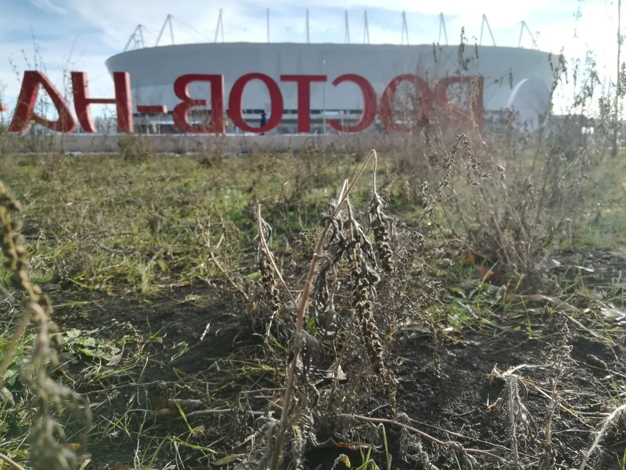 За несвоевременную уборку травы составили более 600 протоколов на Дону