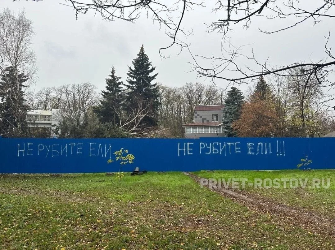 Ростовские власти не стали исполнять решение суда о восстановлении рощи в Ростове