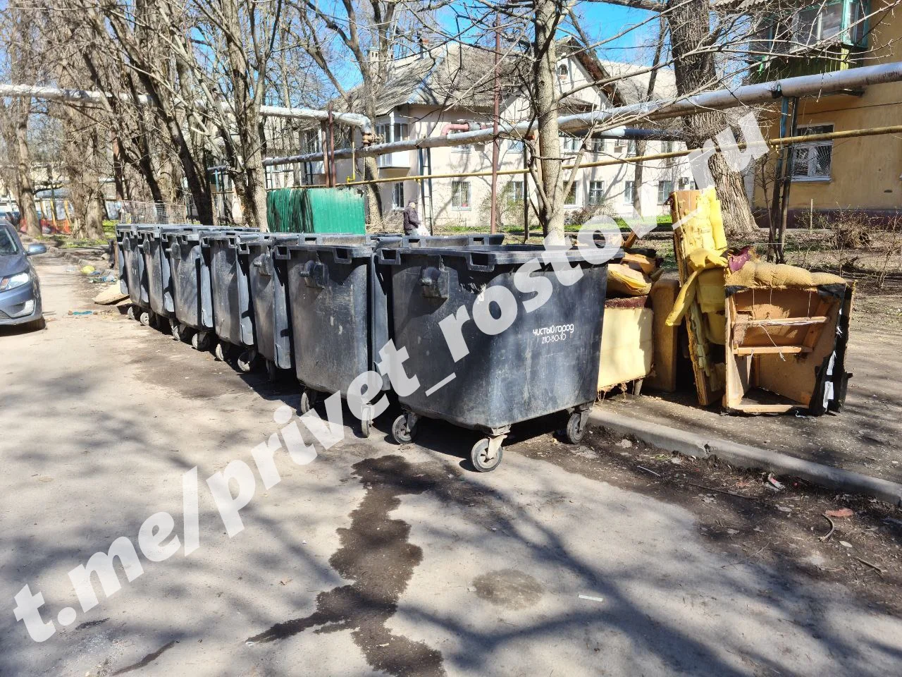 На Дону введут штрафы до 250 тысяч рублей за листья и ветки в мусорных баках