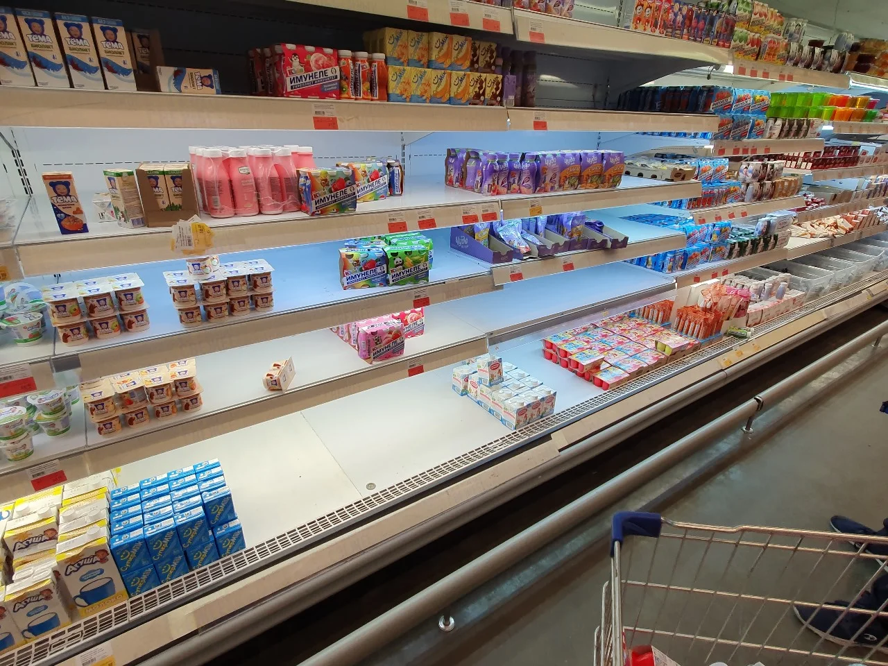 В Ростове задержали двух друзей за попытку выкатить тележку с продуктами на 58 тысяч рублей