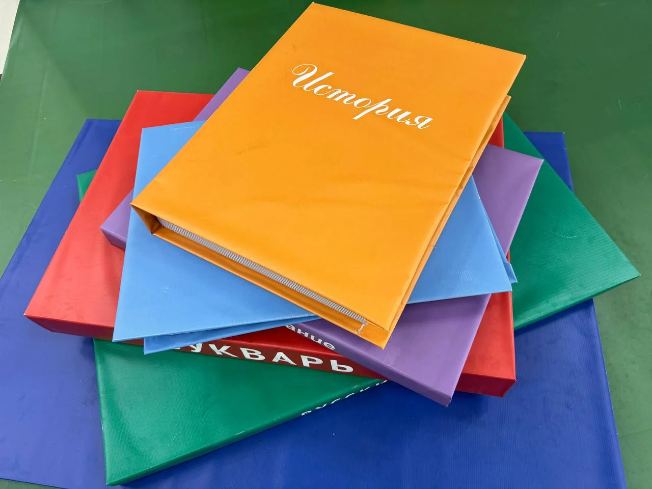 Школа в Ростовской области призвала отказаться от празднования Хеллоуина