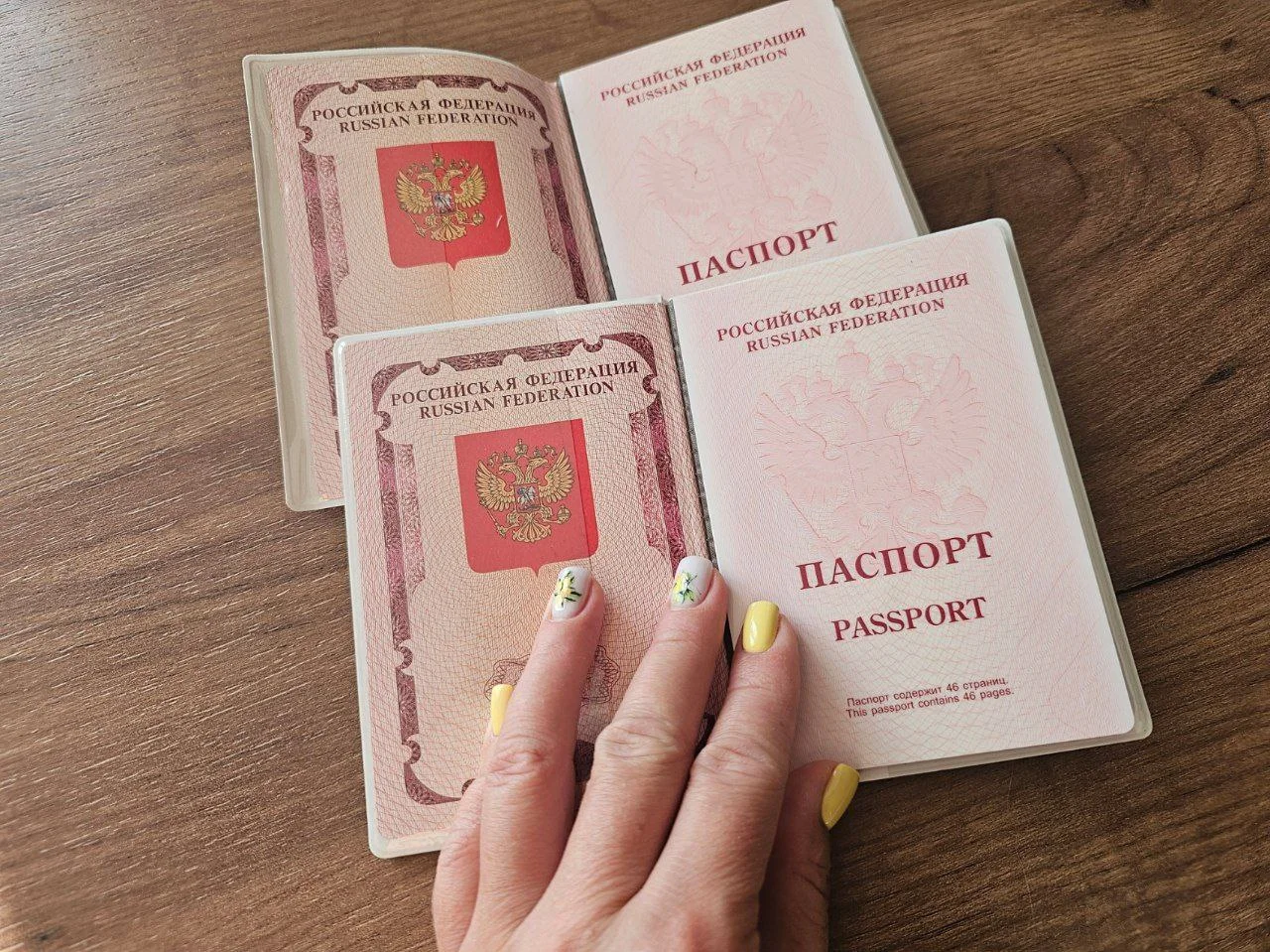 У экс-главы Ростова Логвиненко забрали загранпаспорт