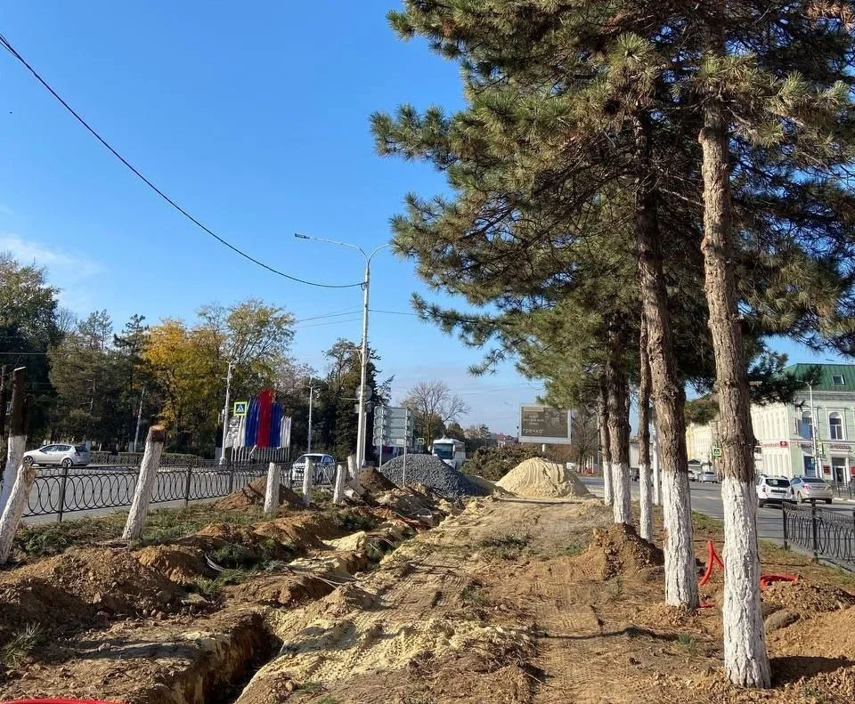 Варварскую вырубку сосен в Новочеркасске признали законной