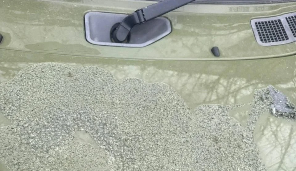 Машину помощницы депутата Заксобрания Поляковой облили кислотой в Каменске