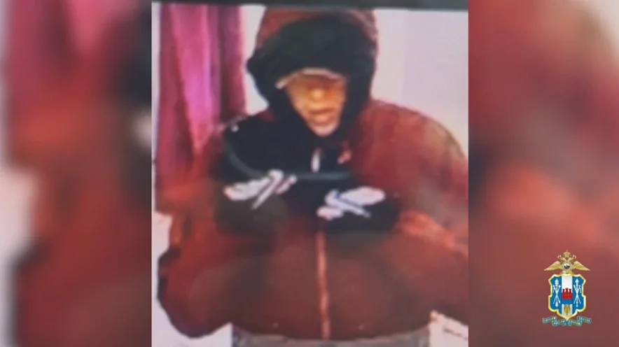 В Ростовской области задержали мужчину, укравшего два новых iPhone 17 из ПВЗ