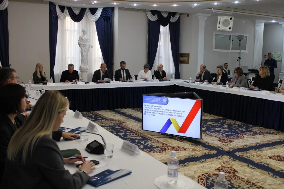 На Дону стартовало формирование стратегии поддержки и развития некоммерческих организаций