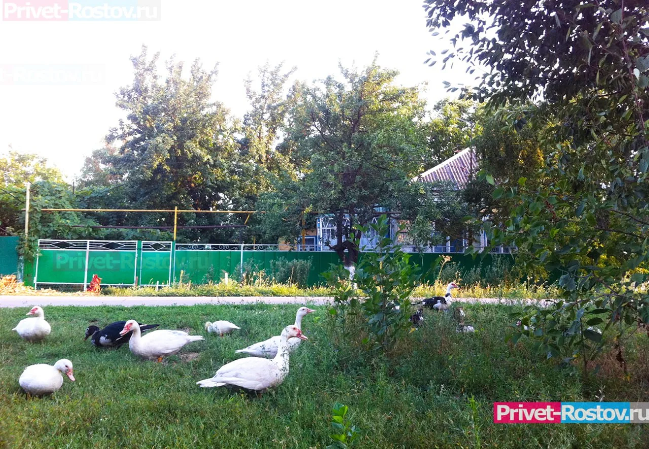 В Ростовской области назвали населенные пункты с жуткими топонимами