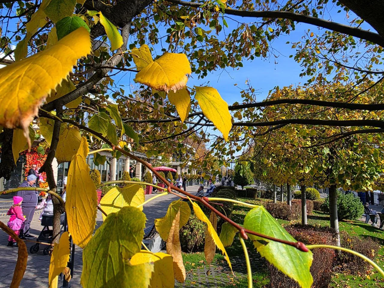 Температура воздуха в Ростове побила рекорд 1947 года