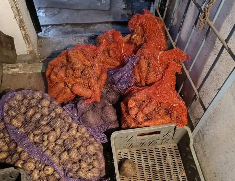 В Шахтах задержан молодой человек за кражу зимних запасов овощей