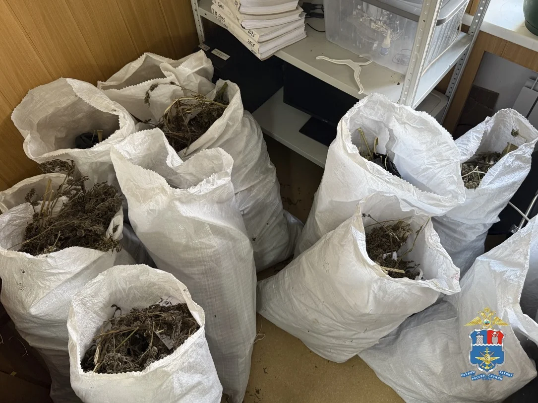В Ростовской области задержан мужчина с более чем 70 килограммами конопли