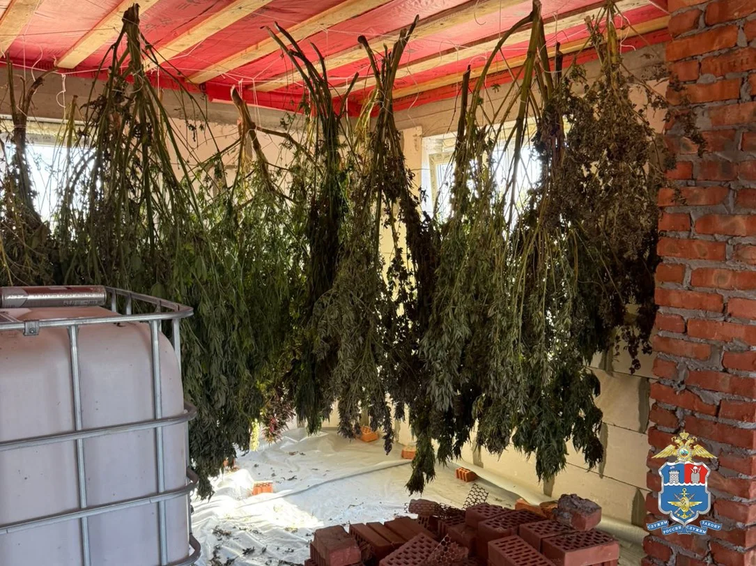 В Ростовской области задержан мужчина с более чем 70 килограммами конопли