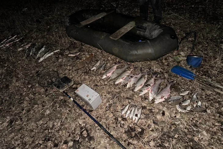 На Дону задержаны двое мужчин, применявших электроудочку