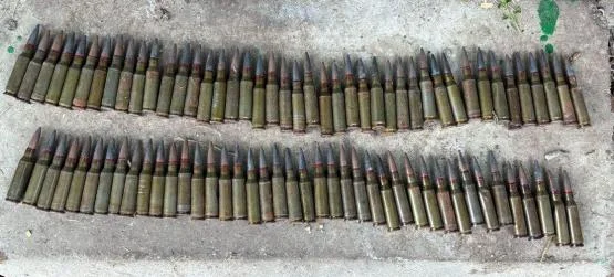 Мужчина с 84 боеприпасами без разрешения задержан на Дону