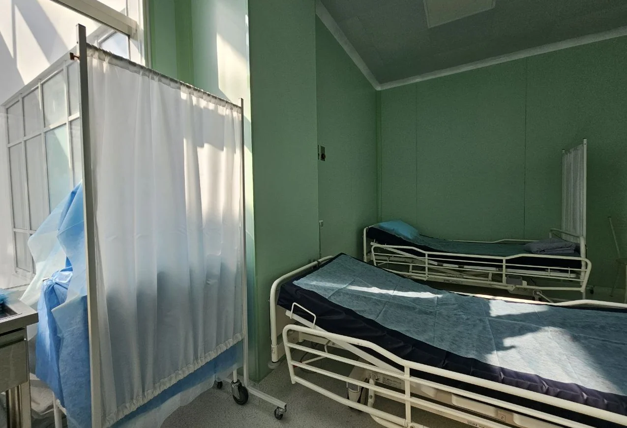 «Мышиная лихорадка» набирает обороты и охватила уже 54 региона