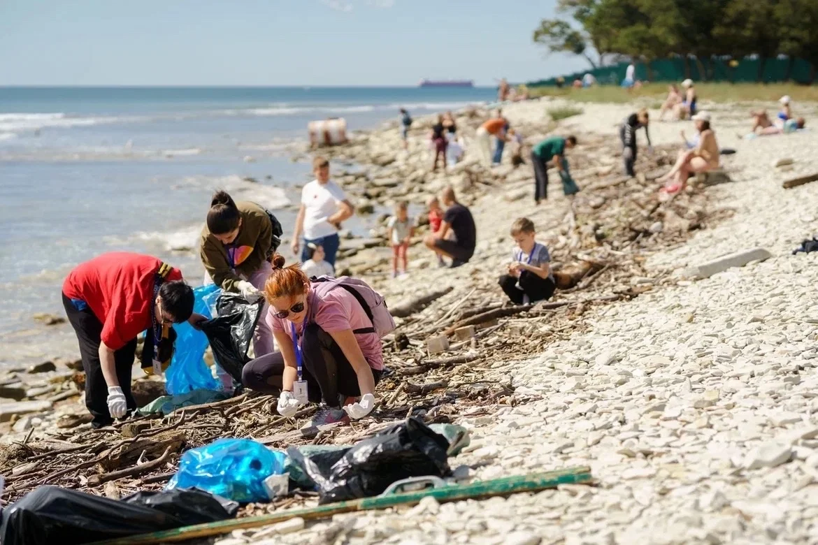 Более 4000 волонтёров Сбера на Юге и Северном Кавказе реализуют сотню соцпроектов