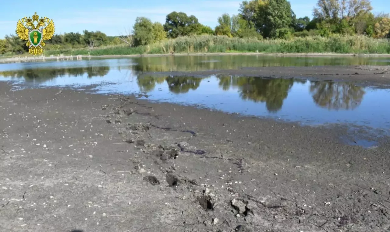 Застреливший двух лосей без разрешения дончанин окажется в суде