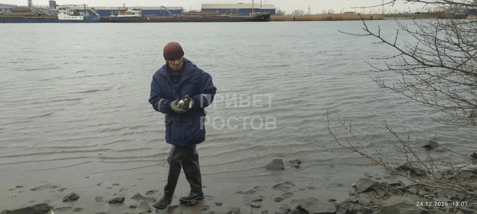 Ростовские спасатели спасли жизнь слепого щенка и его матери