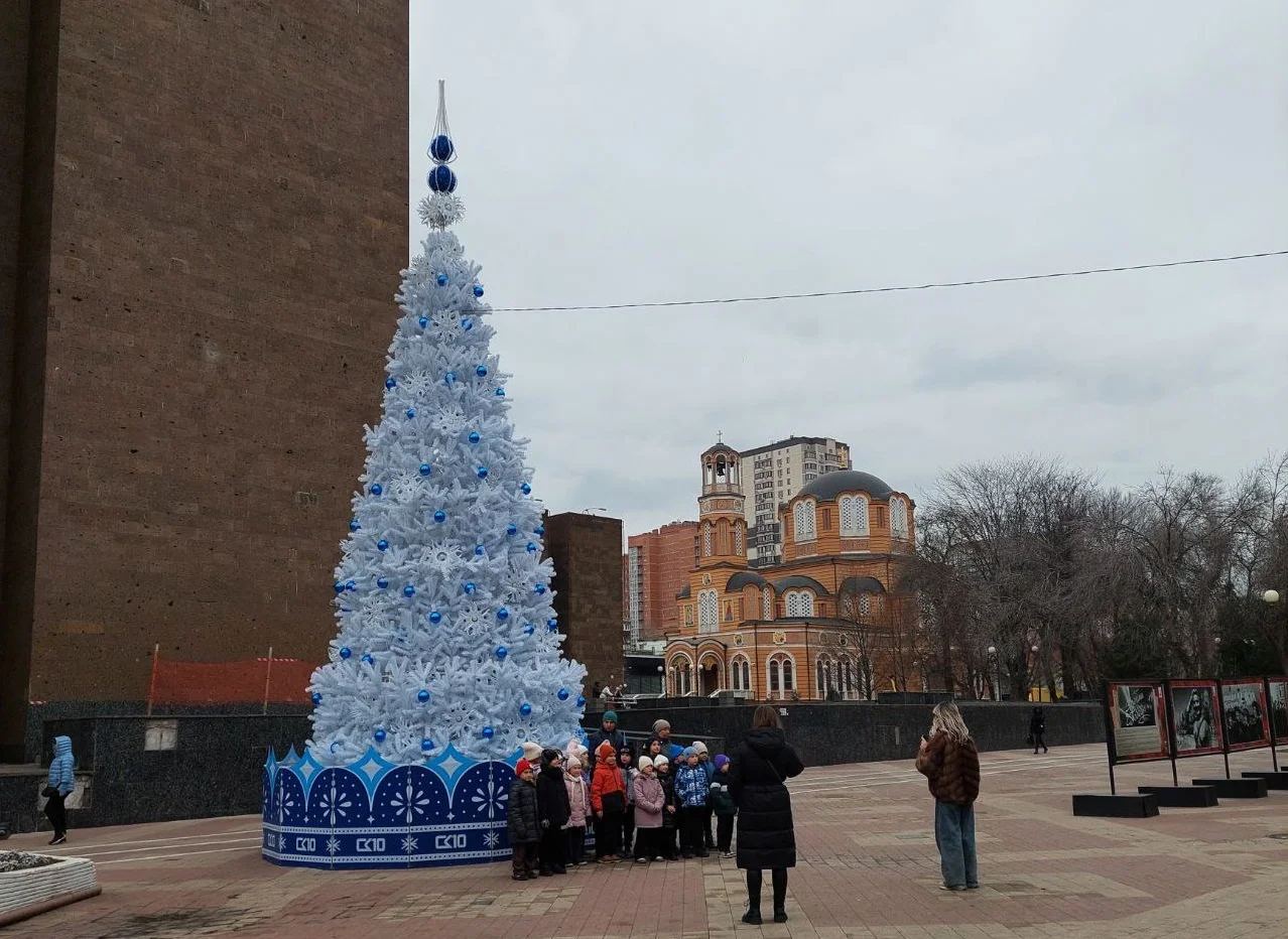 На Дону в новогоднюю ночь усилят патрулирование у главных елок