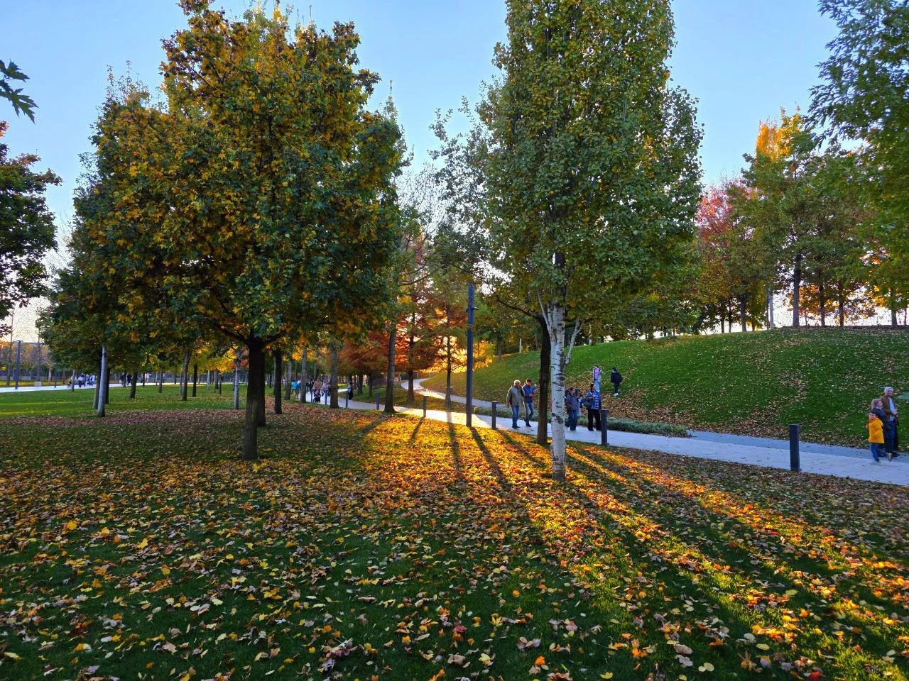 Росприроднадзор подал 11 исков к Галицкому из-за парка Облаков