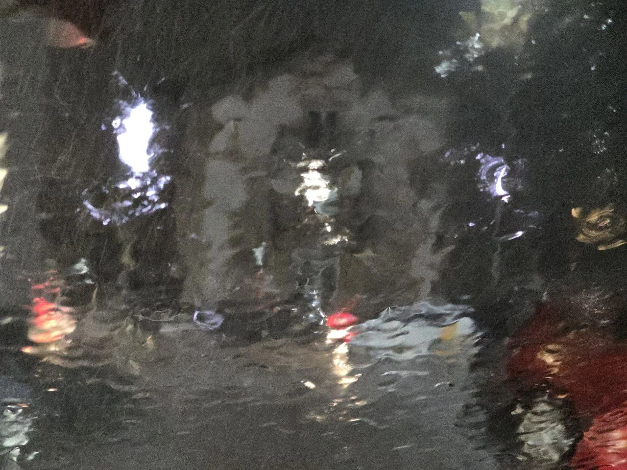 Дончан предупредили о введении желтого уровня опасности до 9 декабря из-за снега