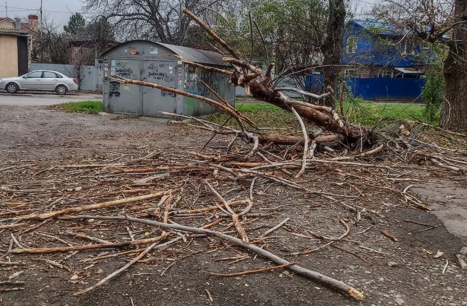 В Ростове на Киргизской устраняют последствия падения дерева на жилой дом
