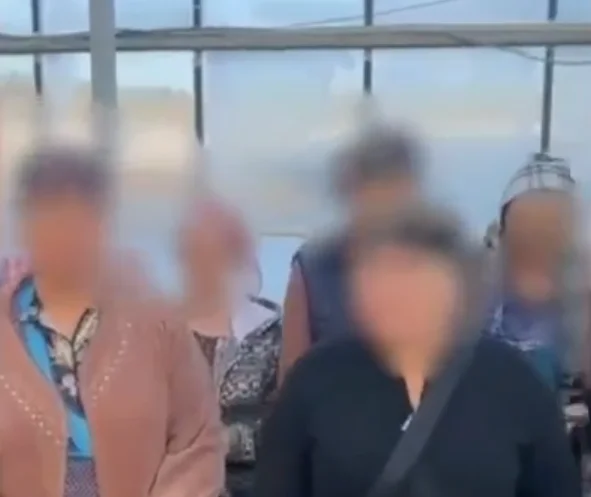 В Ростове раскрыли факт нелегального трудоустройства 15 иностранцев на агрокомбинате