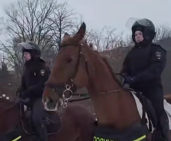 Конные патрули полиции задействованы на заснеженных улицах Ростова