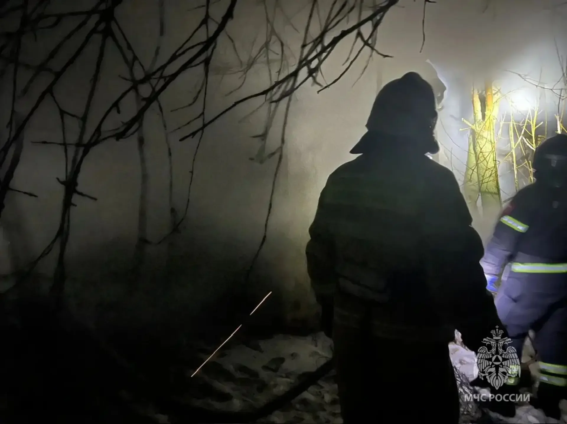 Пожар в нежилом доме едва не уничтожил домашних кур и кроликов на Дону