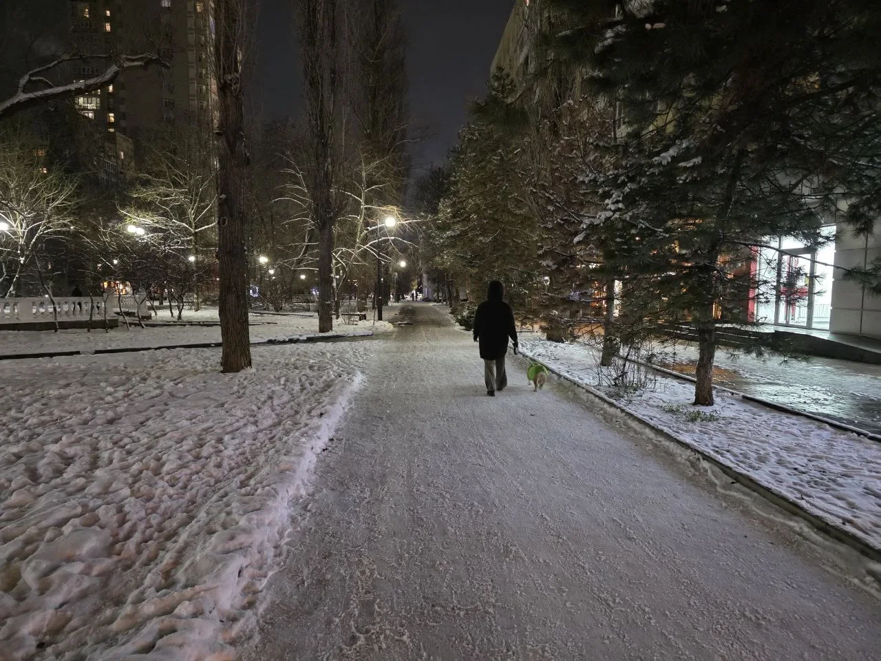 Перепады температур от +10 до -11 накроют Ростовскую область на Рождество